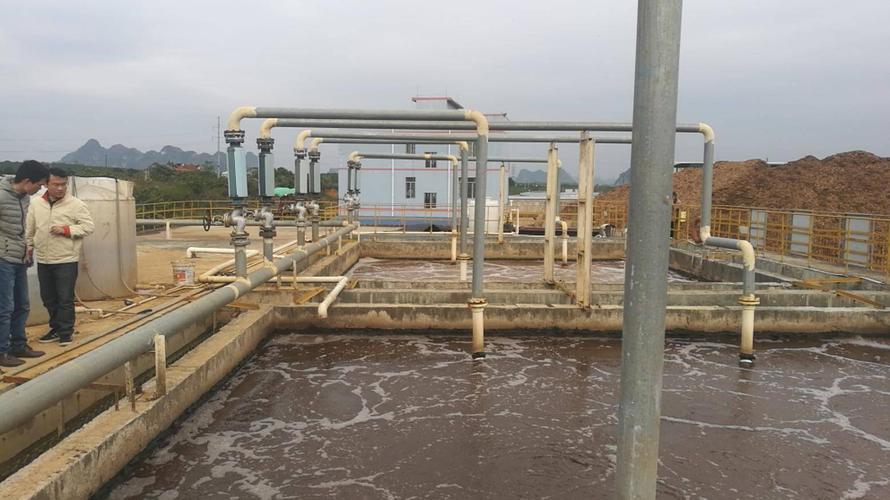 广西南宁某木业公司人造板废水处理案例