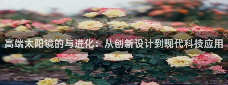 新宝5娱乐