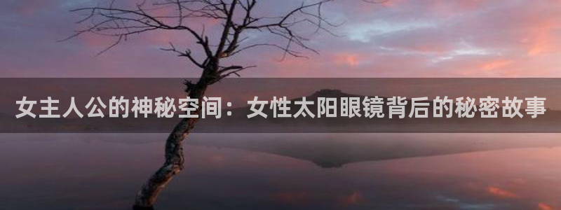 新宝娱乐5