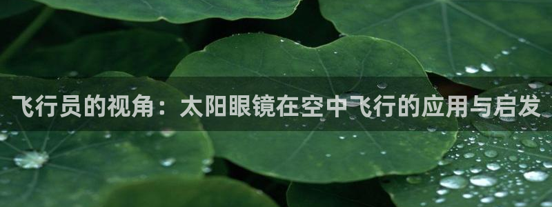新宝5app
