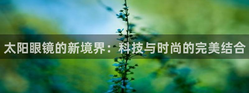 新宝5源码