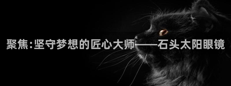 新宝5公司