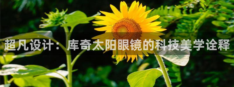 新宝5平台霸
