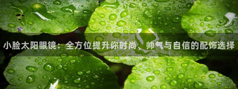 新宝5娱乐平台