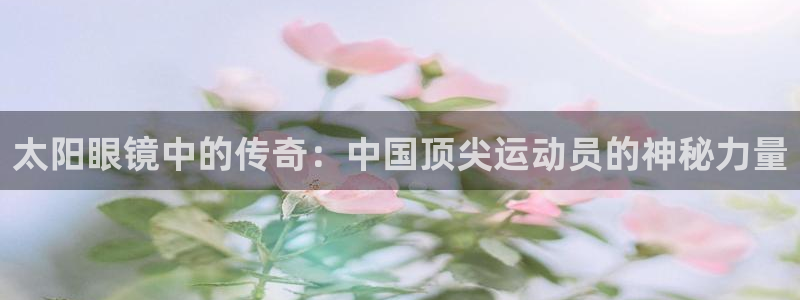 新宝5秒开
