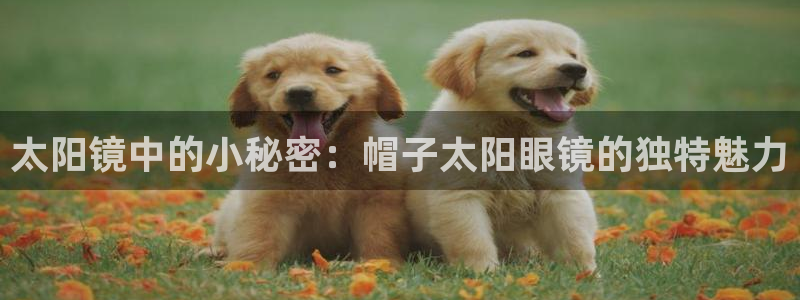 新宝5开户