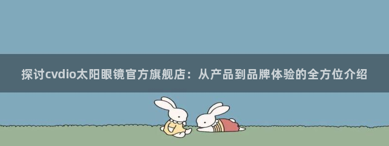 新宝5 代理