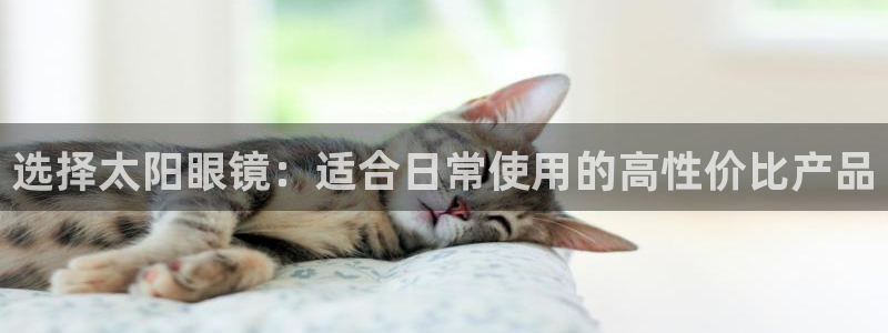 新宝5娱乐方
