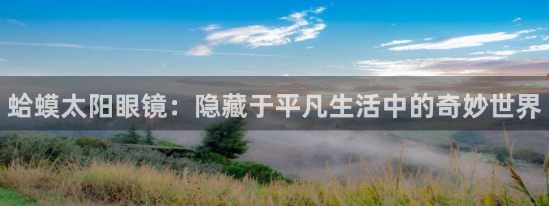 新宝5的网址