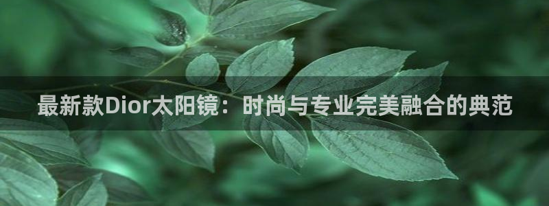 新宝5娱乐网址