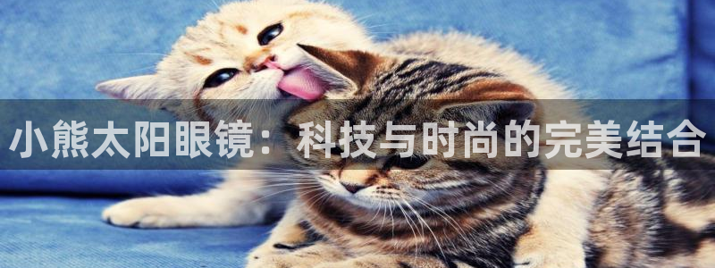 新宝娱乐5入口