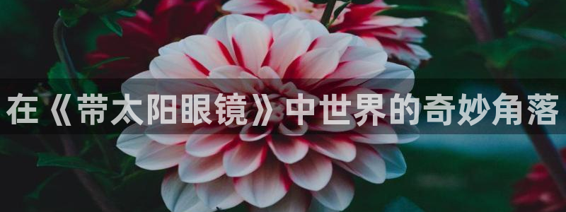 新宝股东张听2 5 5