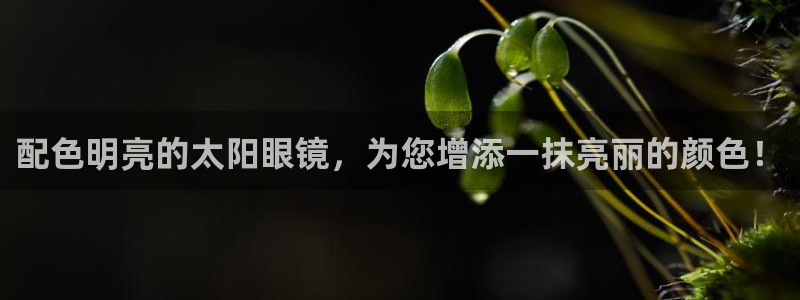 新宝5娱乐同