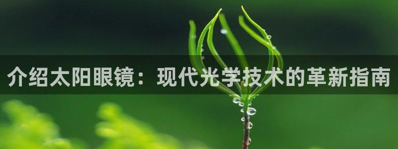 新宝5分彩