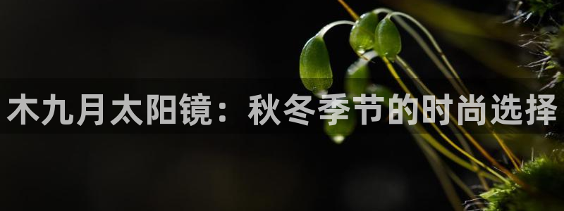 新宝5娱乐招商