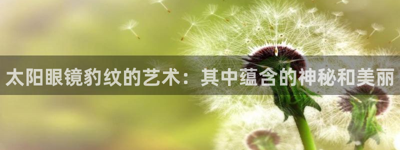 新宝5娱乐如