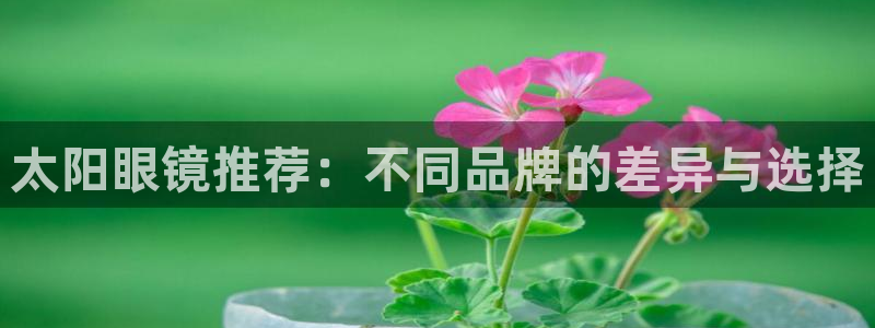 新宝5户端